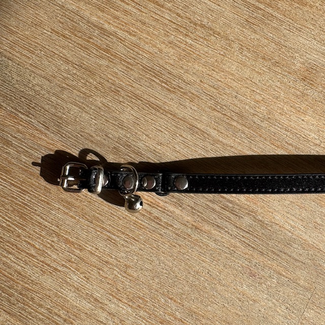 collier chat paillettes 5