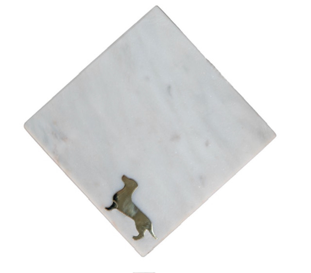Teckel sous verres 4