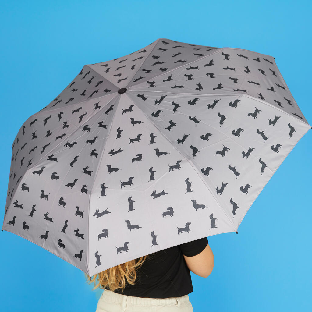Parapluie teckel gris 8
