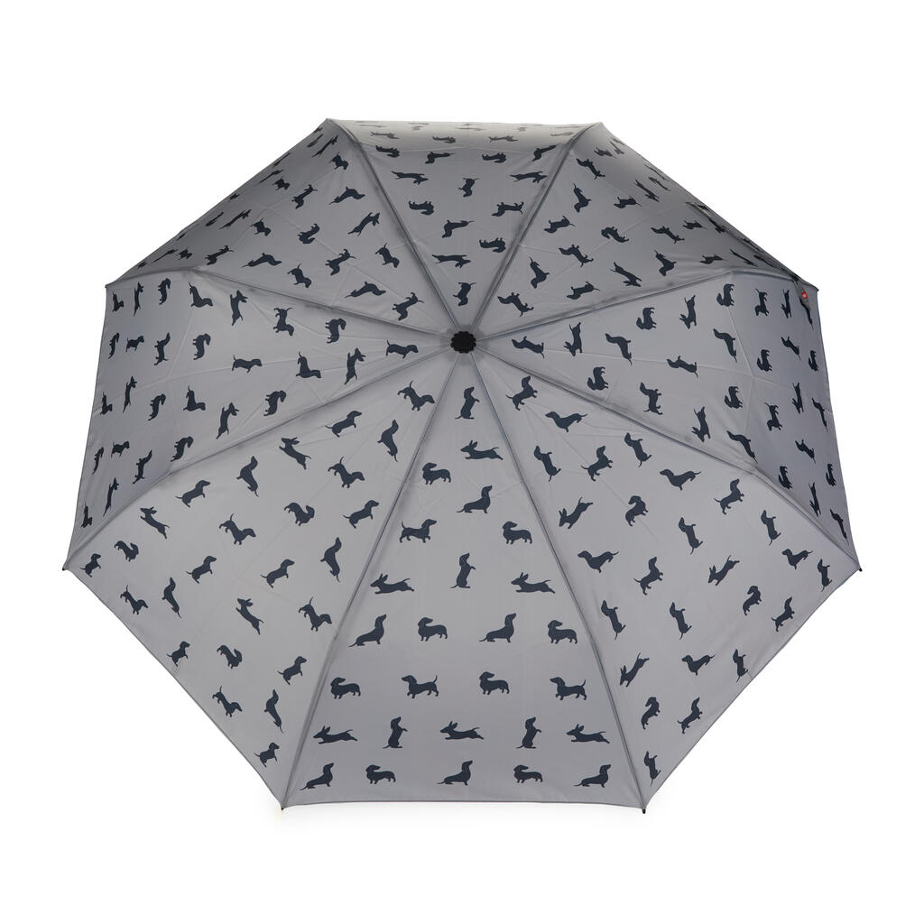 Parapluie teckel gris 11