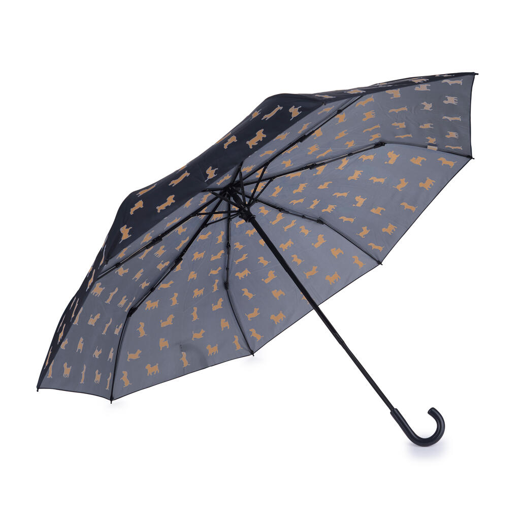 Parapluie teckel noir 4