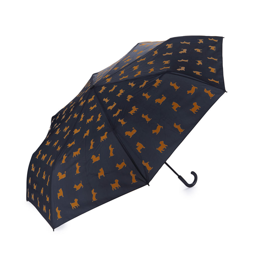 Parapluie teckel noir 5