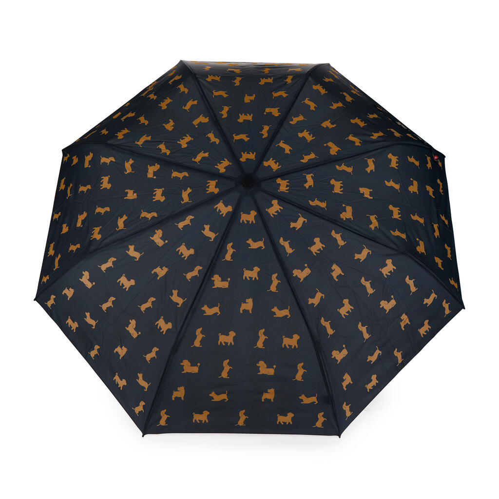 Parapluie teckel noir 10