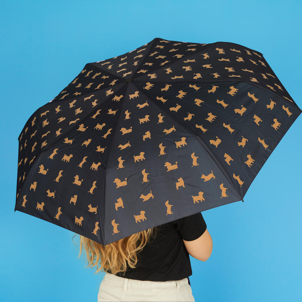 Parapluie teckel noir 9