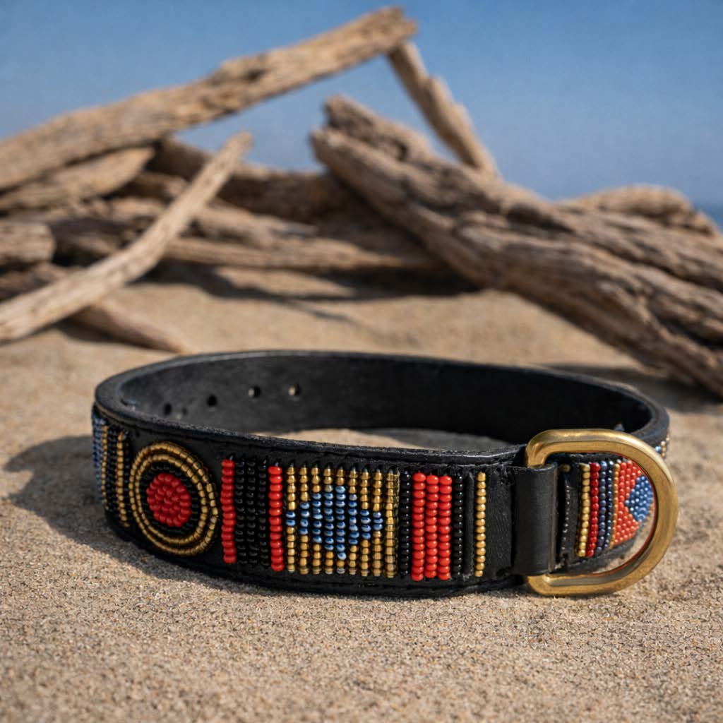 Collier pour chien sur le sable