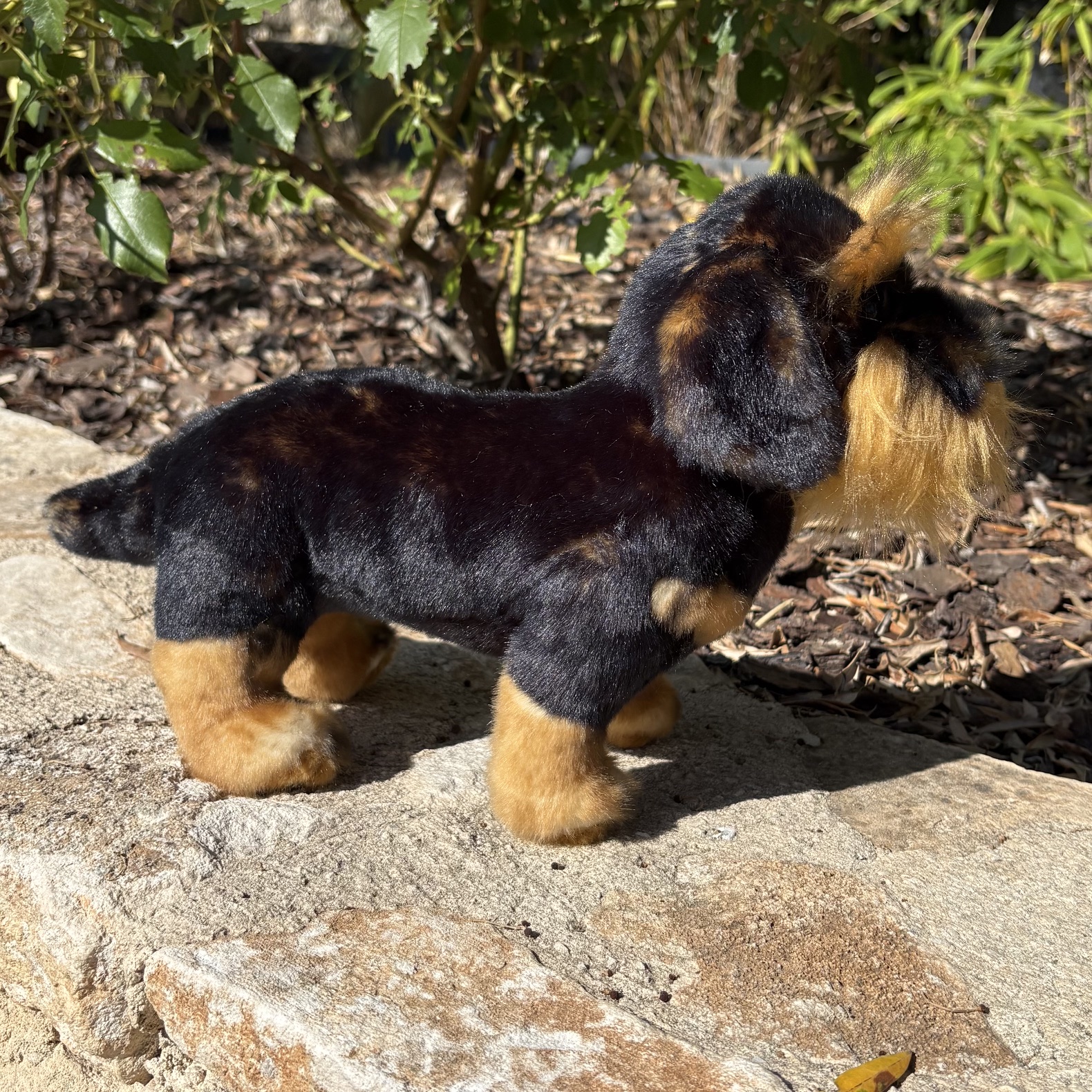 peluche teckel 4.jpg