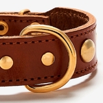 Collier branniccognacclous 2