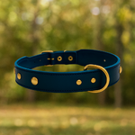 Collier brannibleuclous couverture