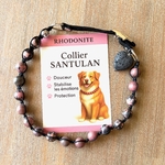 Santulan couverture Etsy