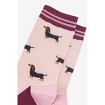chaussettes femme bambou teckels 5-3