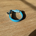 collier chat bleu