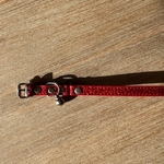 collier chat paillettes 3