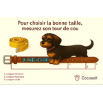 Schema de mesure colliers