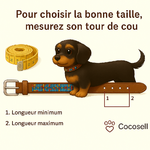 Schéma taille collier avec 2 mesures min et max