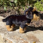 peluche teckel 4.jpg