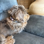 Collier Kike sur Rose