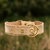 Collier brannidoré couverture