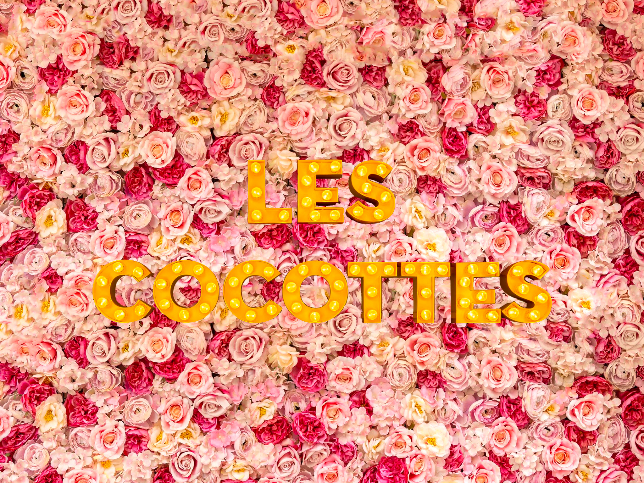 cocottes enseigne 4 3