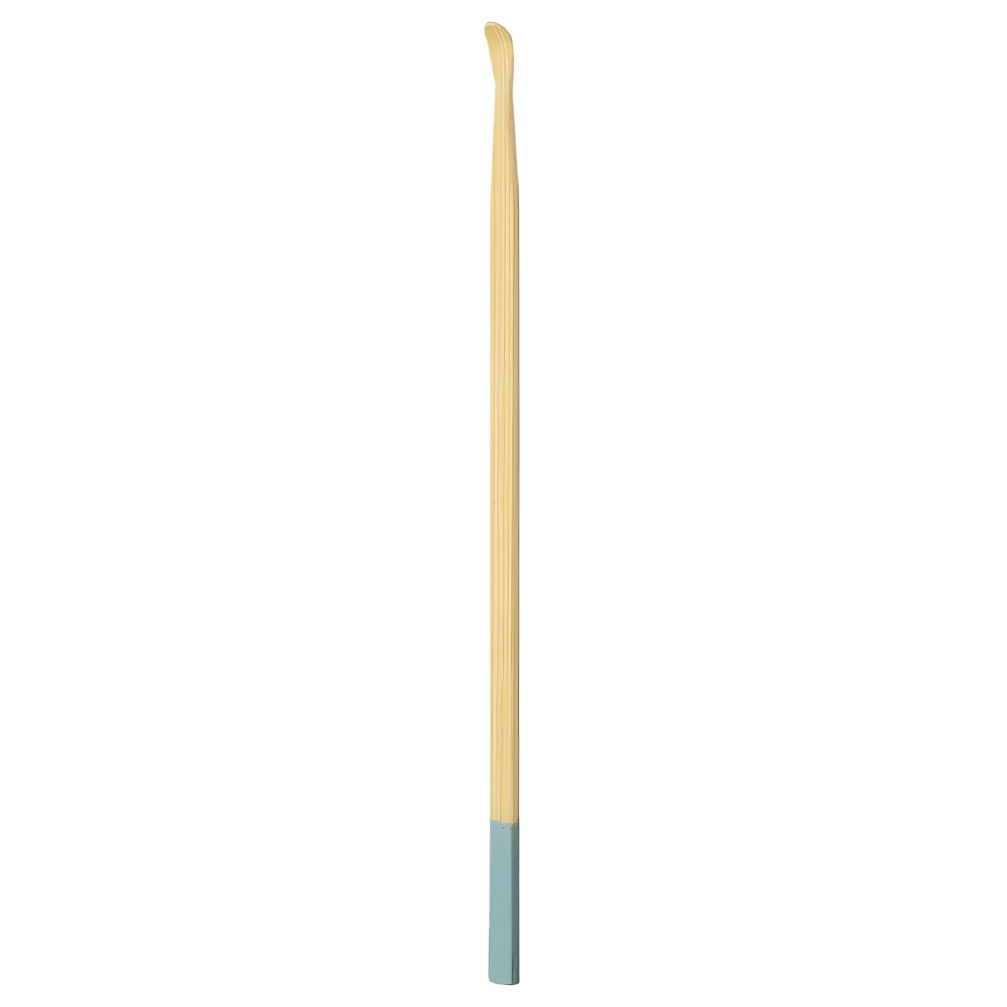 Cure oreille bleu-vert