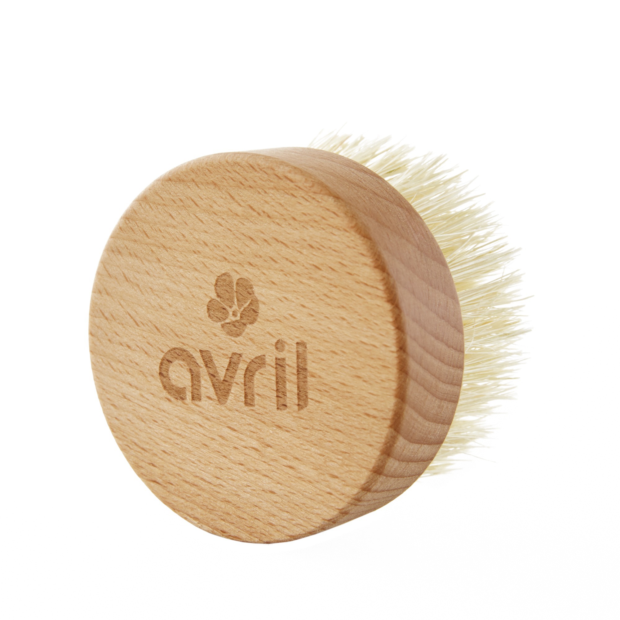 Brosse à sec 1