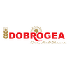 Dobrogéa