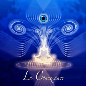 logo connexance