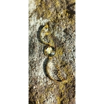 bracelet-dore-alice-2-zoom