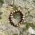 Bracelet-Confiance-en-Oeil-de-Tigre-1-zoom