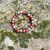 Bracelet-Dynamisme-et-Equilibre-en-Cornaline-Hematite-et-Oeil-de-Taureau-1-z