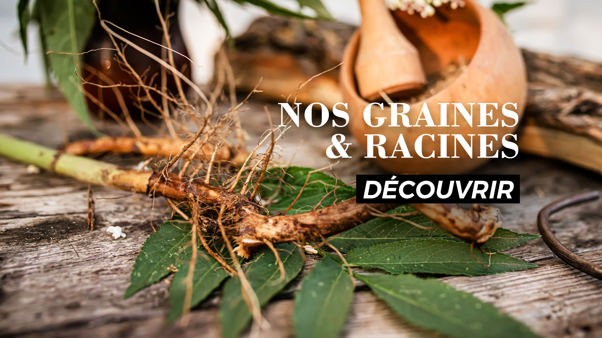 graines et racines pjcosmeticsbio