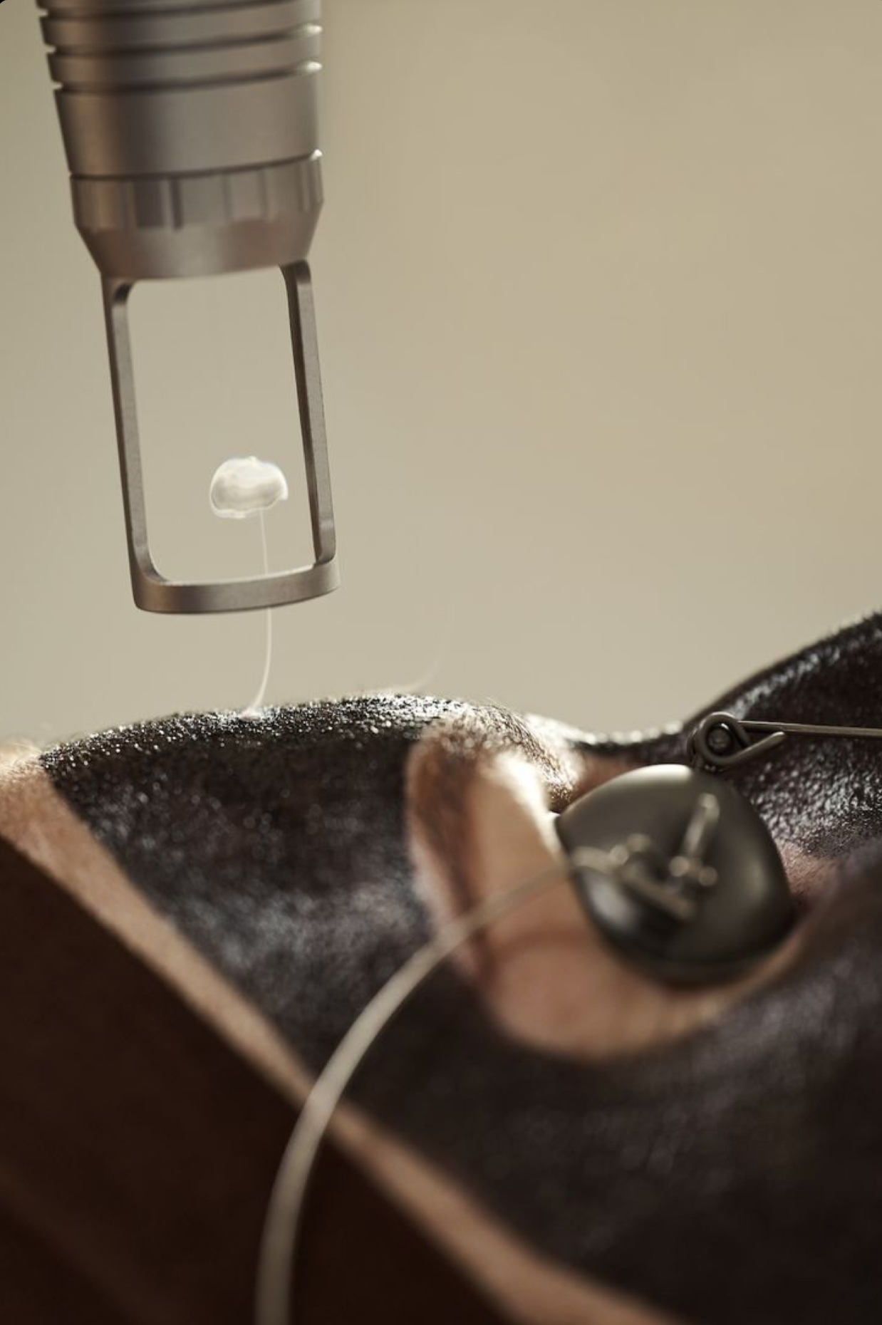 img 7648