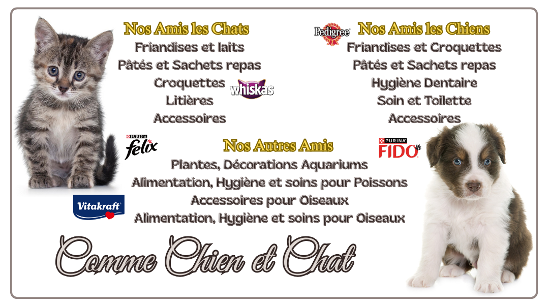 comme chien et chat