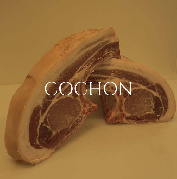 cochon