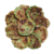 Farcous par 15