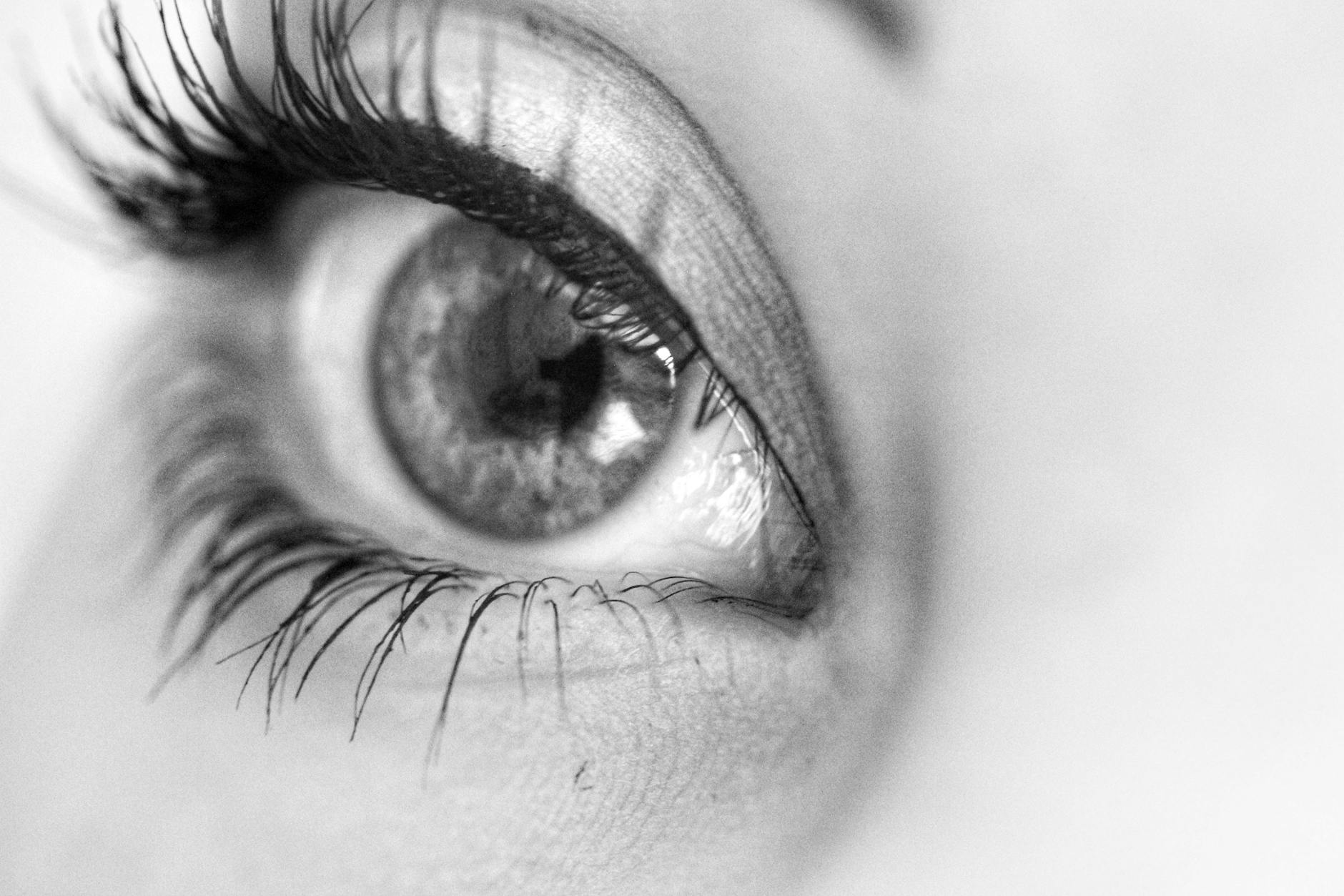 oeil humain