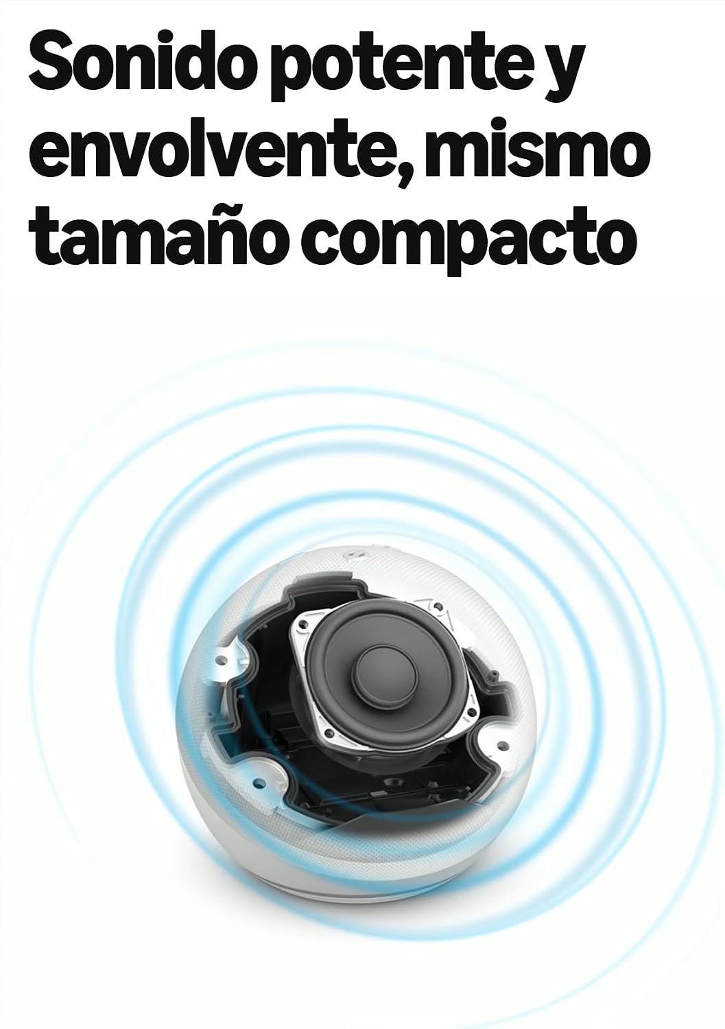 Sezione illustrata dell’altoparlante e dei componenti audio di Echo Dot