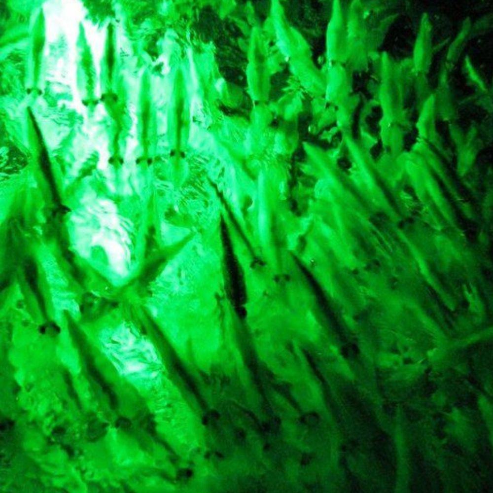 HYDRO-GLOW-PROMO-03-zoom