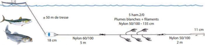ligne-de-traine-flashmer-aqua-bar-zoom