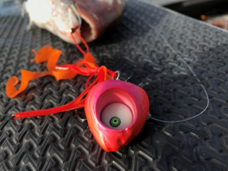 mada-glowbite-grumpy-fish-140g-2-zoom