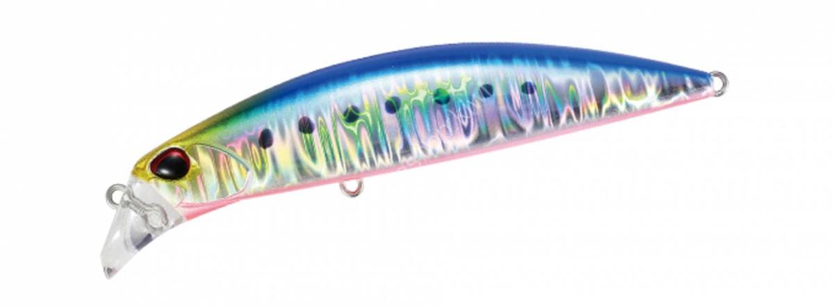 sardine-zoom