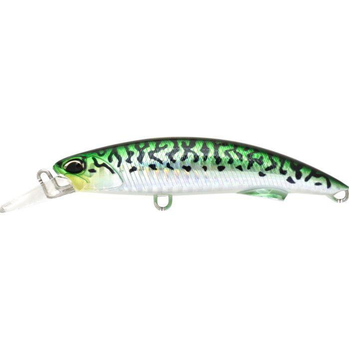 mackerel-zoom