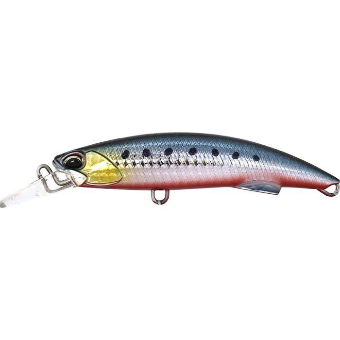sardine-rb-zoom