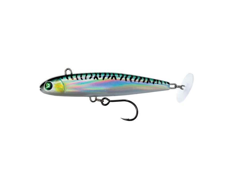 reeal-mackerel-zoom
