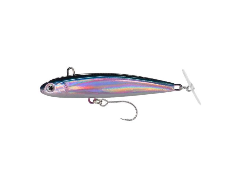 silve-sardine-zoom