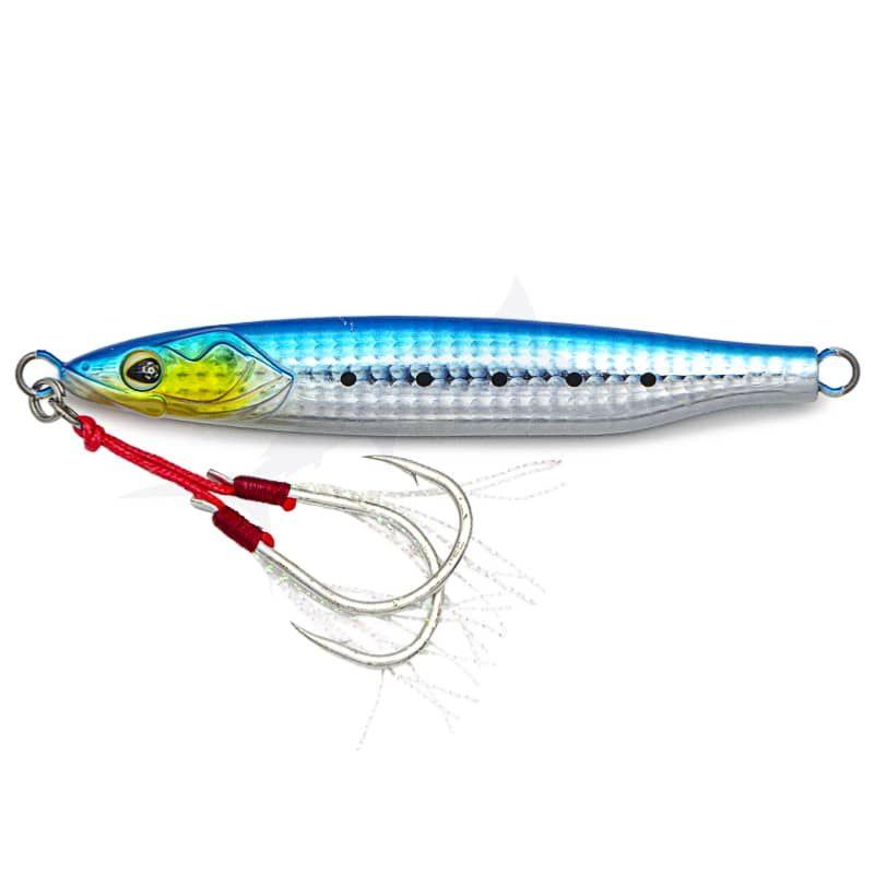 scale-sardine-zoom