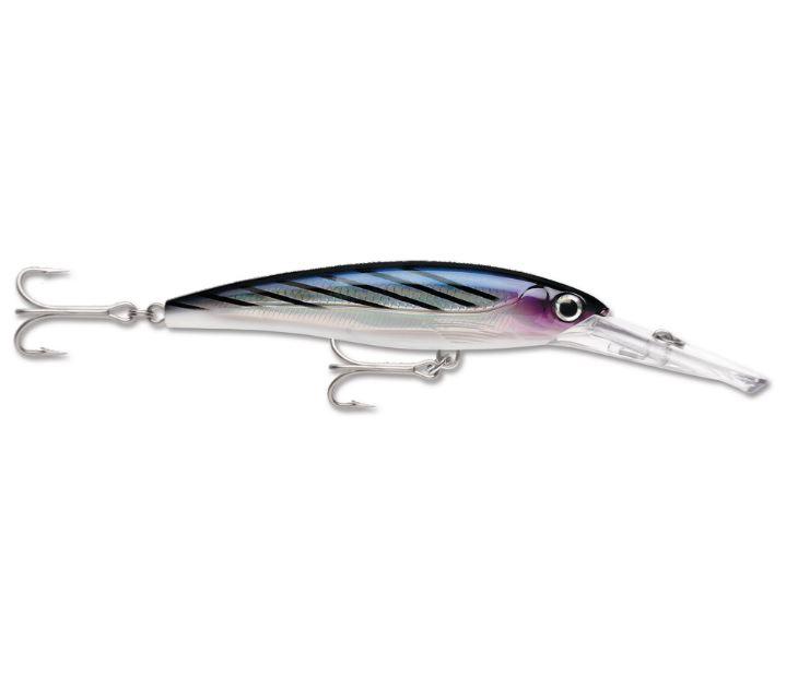 BONITO-zoom