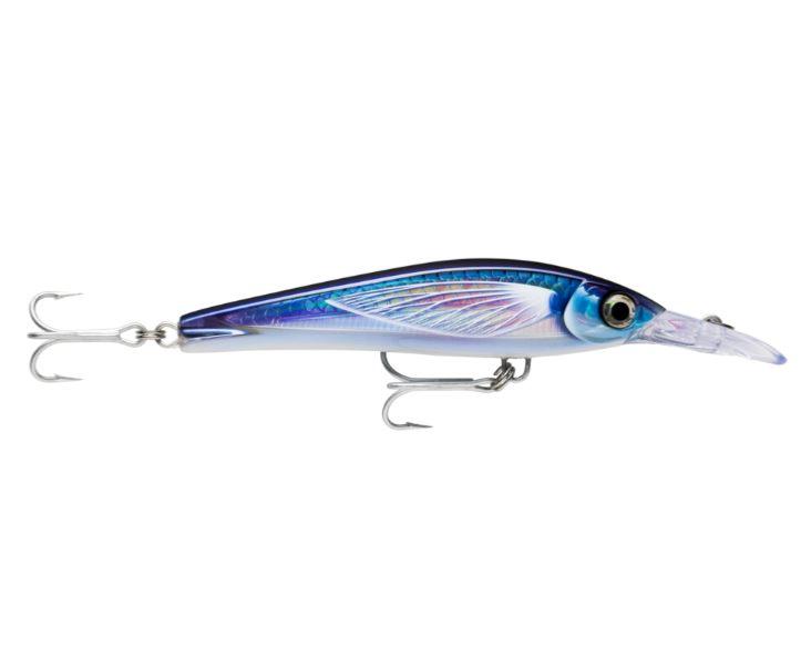 flying-fish-zoom