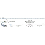 ligne-de-traine-flashmer-aqua-bar-zoom