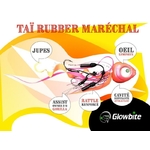 ta-rubber-marechal-glowbite-grumpy-fish-schema-zoom