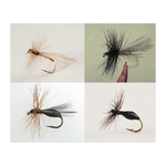 kit-de-4-mouches-devaux-fourmis-z-1016-101617-zoom